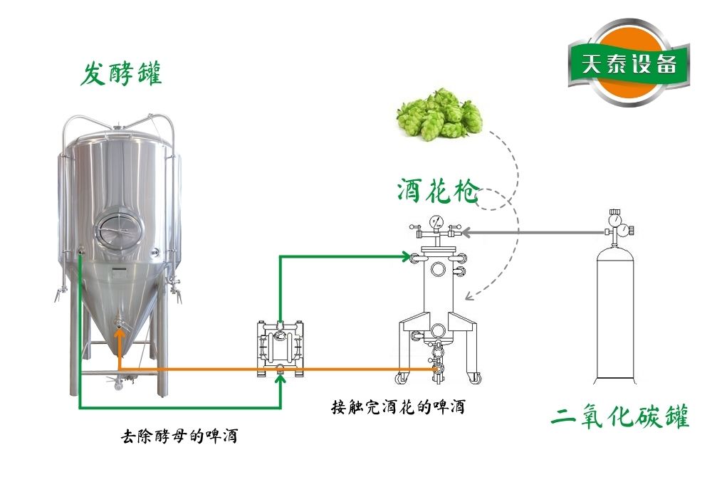 釀IPA的酒花干投怎么操作？